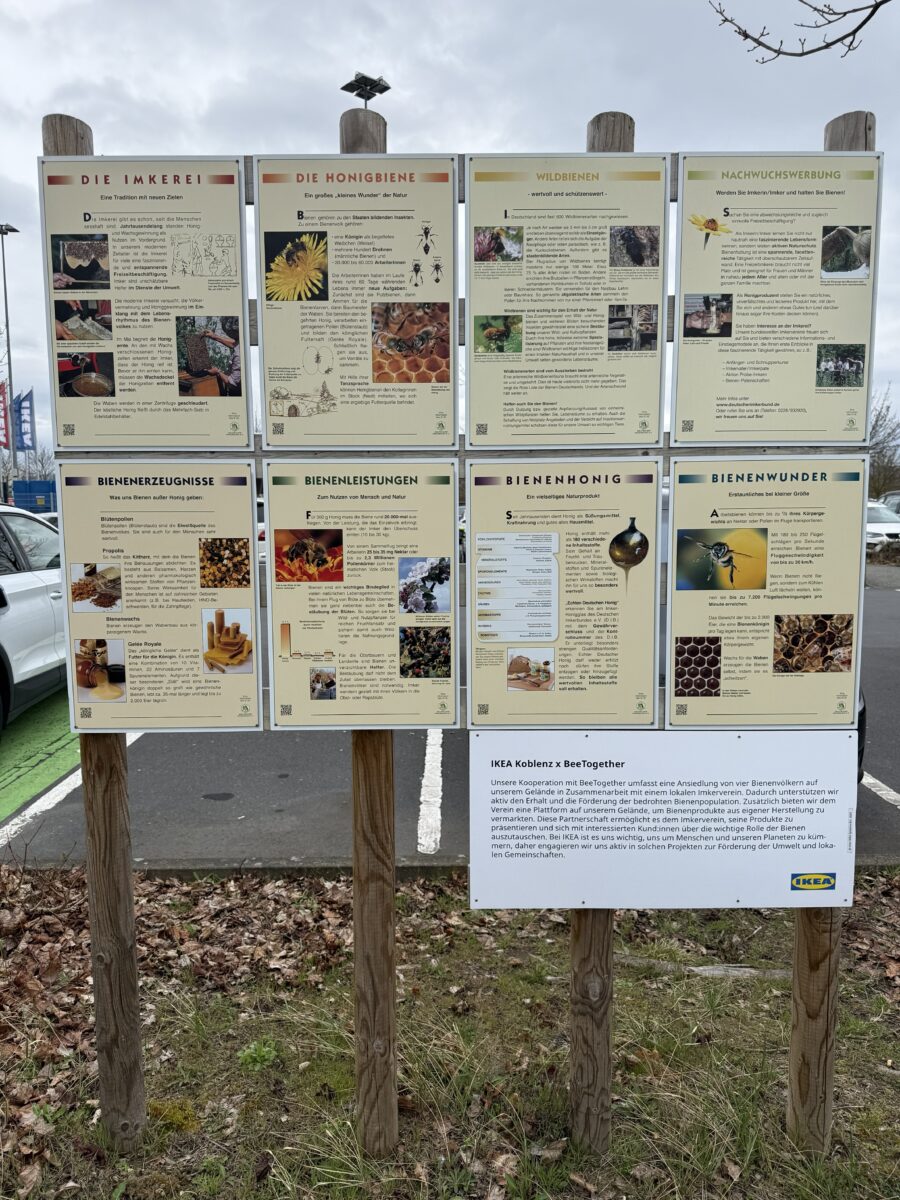 Bienen-Infostand an unserem Honigautomaten bei Ikea in Koblenz